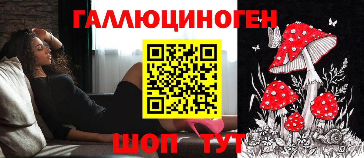 Галлюциногенные грибы Psilocybine cubensis Тула